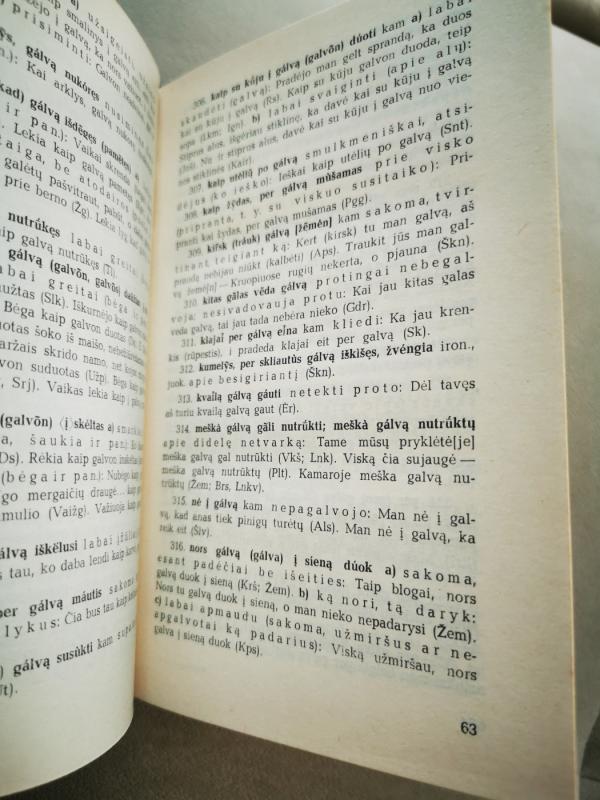 Lietuvių kalbos somatiniai posakiai (su galvos dalių pavadinimais) - Jonina Lipskienė, knyga 4