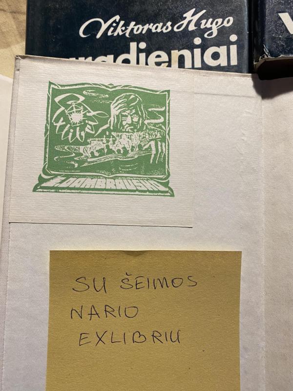 Vargdieniai - Viktoras Hugo, knyga 3