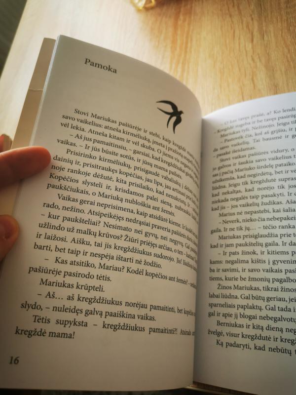 Buvo taip, buvo - Vitalija Tarutienė, knyga 5