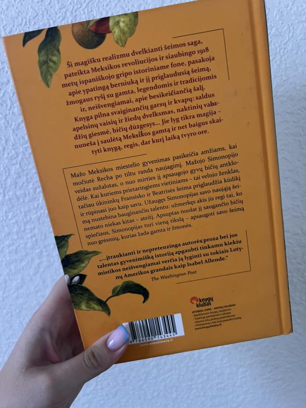 Bičių dūzgesys - Sofia Segovia, knyga 3