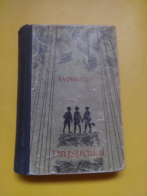 Drąsuoliai - A. Voinovas, knyga 2