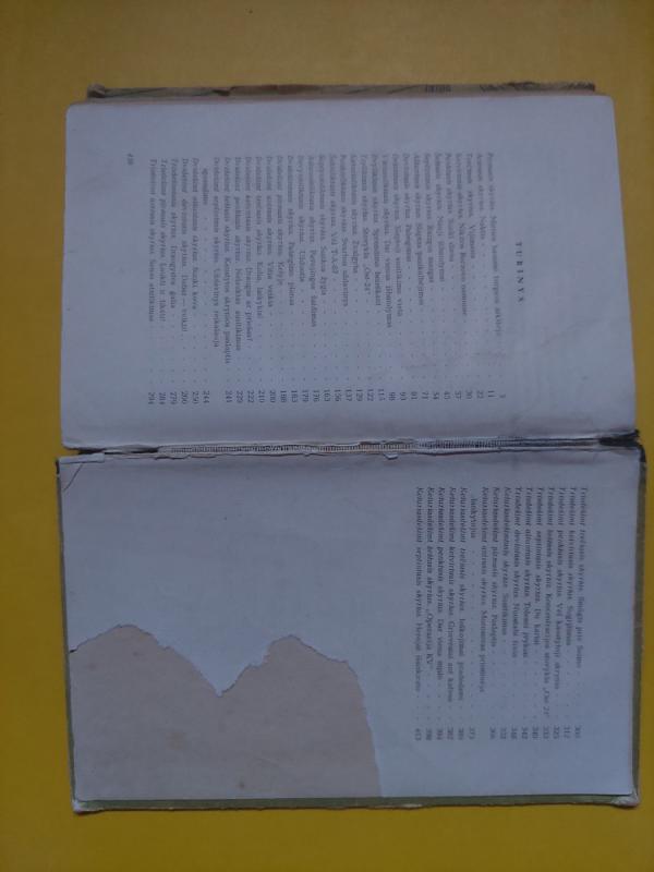 Drąsuoliai - A. Voinovas, knyga 4