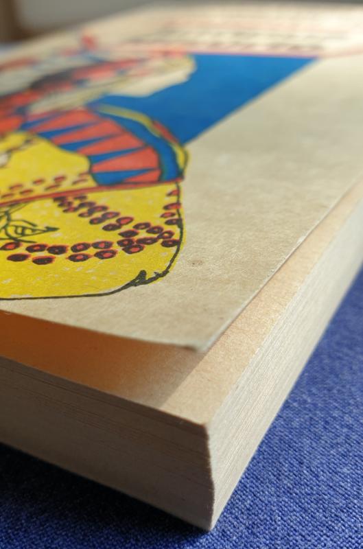 Anapus Misūrio - Lizelotė Velskopf-Henrich, knyga 5