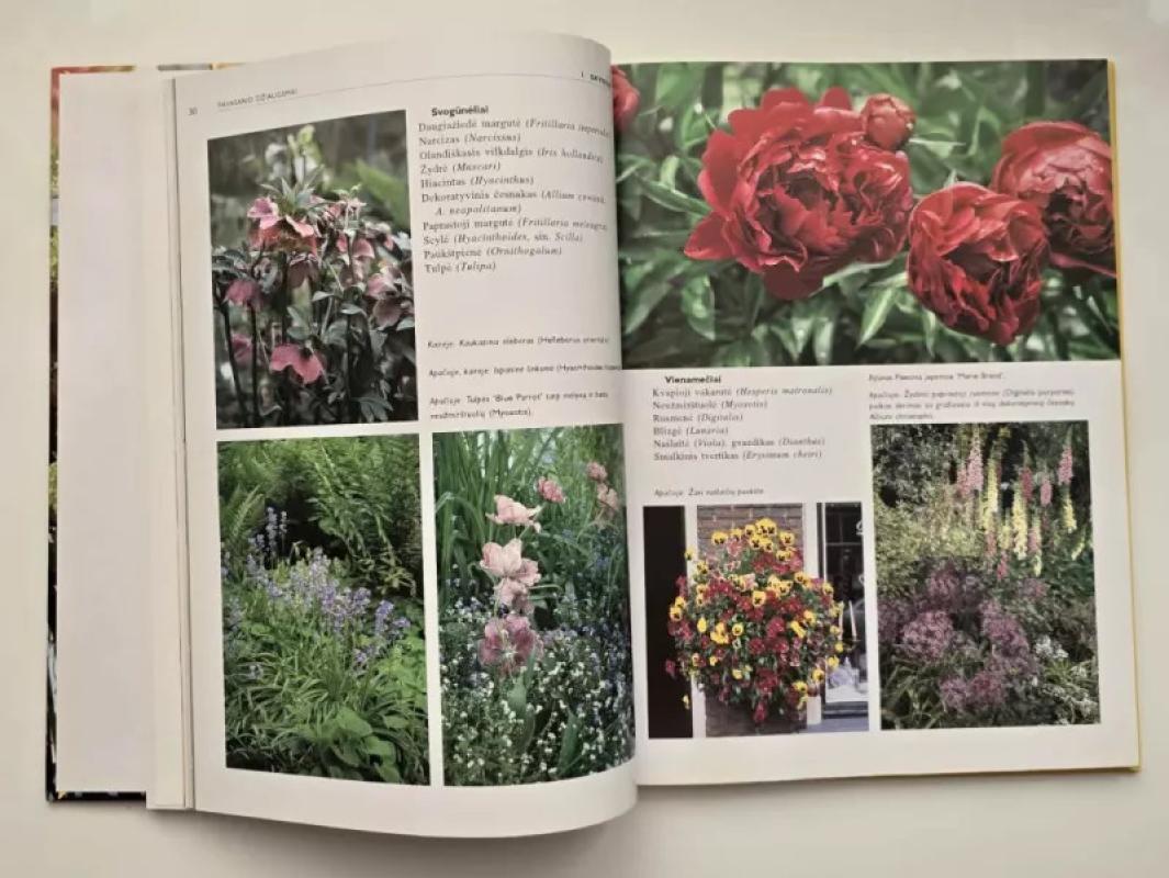 Puokštės - Mineke Kurpershoek, knyga 3