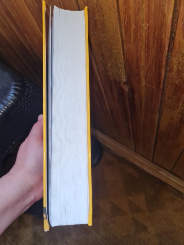 Apskaitos pagrindai - Borisas Jefimovas, knyga 3