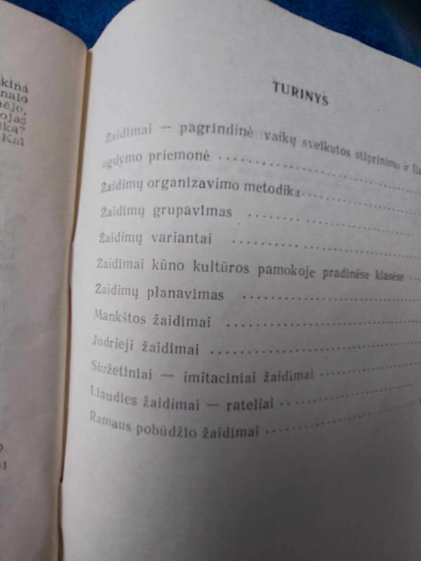 Vaikų žaidimai - Povilas Ivanovas, knyga 4