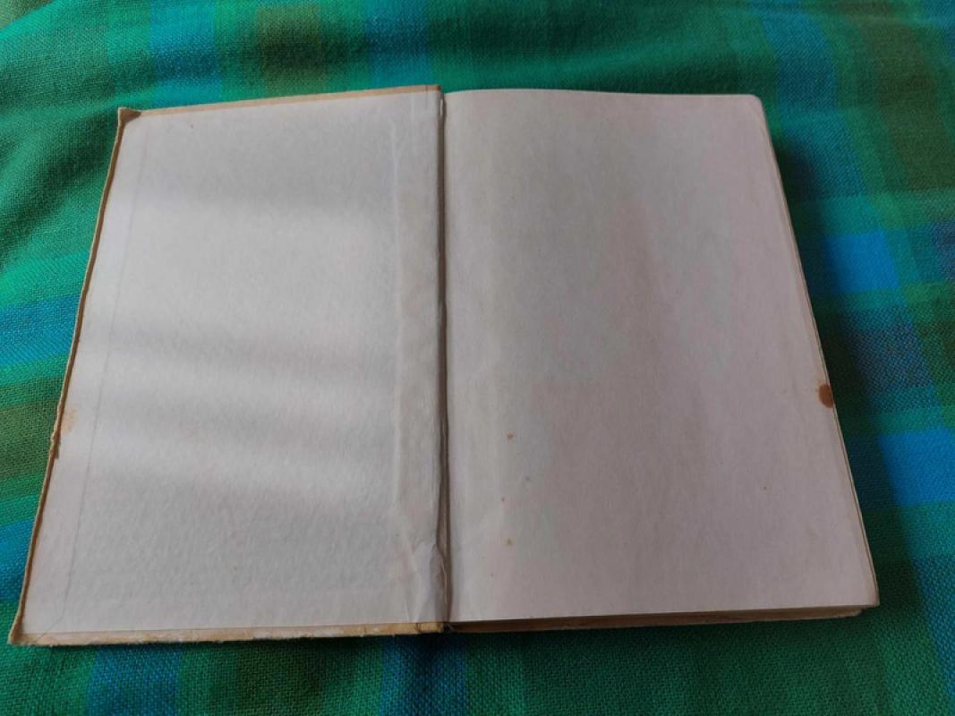 Vaikas ir jo priežiūra - Bendžaminas Spokas, knyga 5