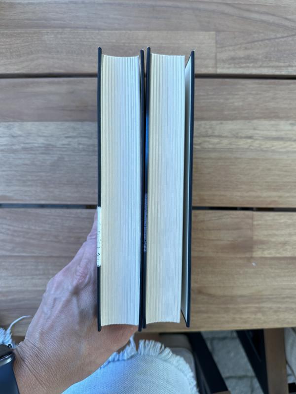 Šarkos - Mark Edwards, knyga 4