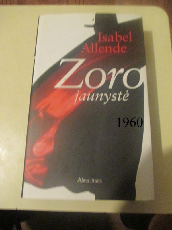 Zoro jaunystė - Isabel Allende, knyga 2