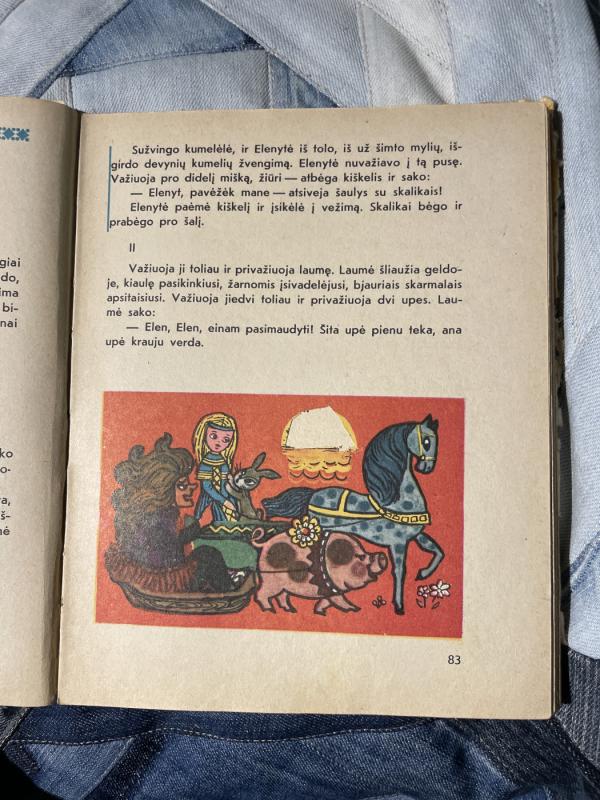 Gimtasis žodis 2 klasei - E. Prėskienienė V. Ramonaitė, knyga 3