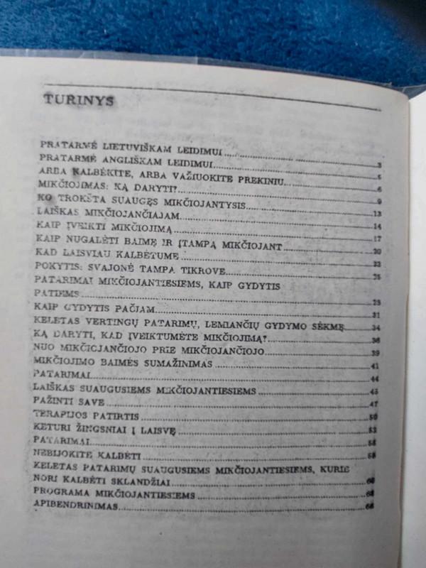 Patarimai mikčiojantiems - Albina Trečiokaitė, knyga 3