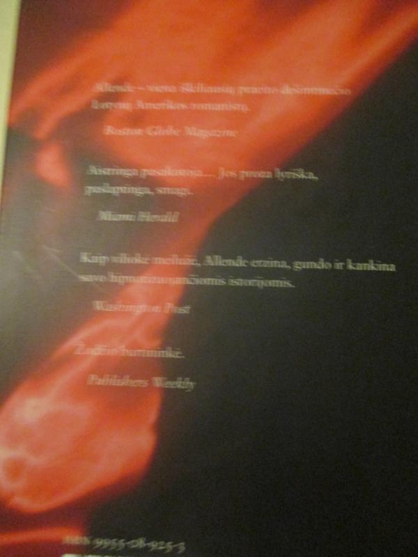 Zoro jaunystė - Isabel Allende, knyga 6