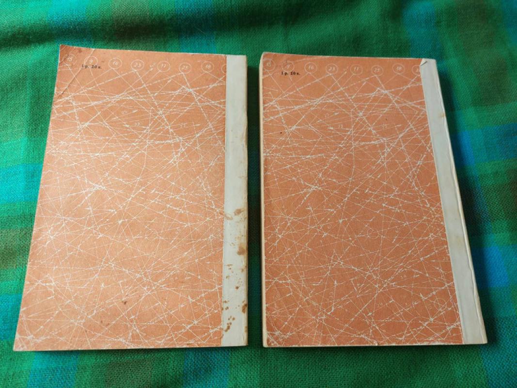 Mėgstančioms siūti - A. Januš, knyga 3