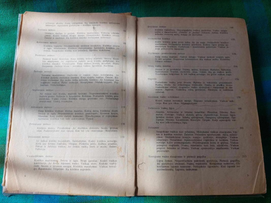 Vaikas auga - L. Steponaitienė, knyga 6