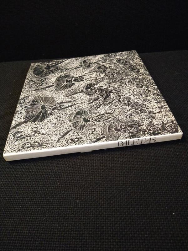 Baletas - Aliodija Ruzgaitė, knyga 3