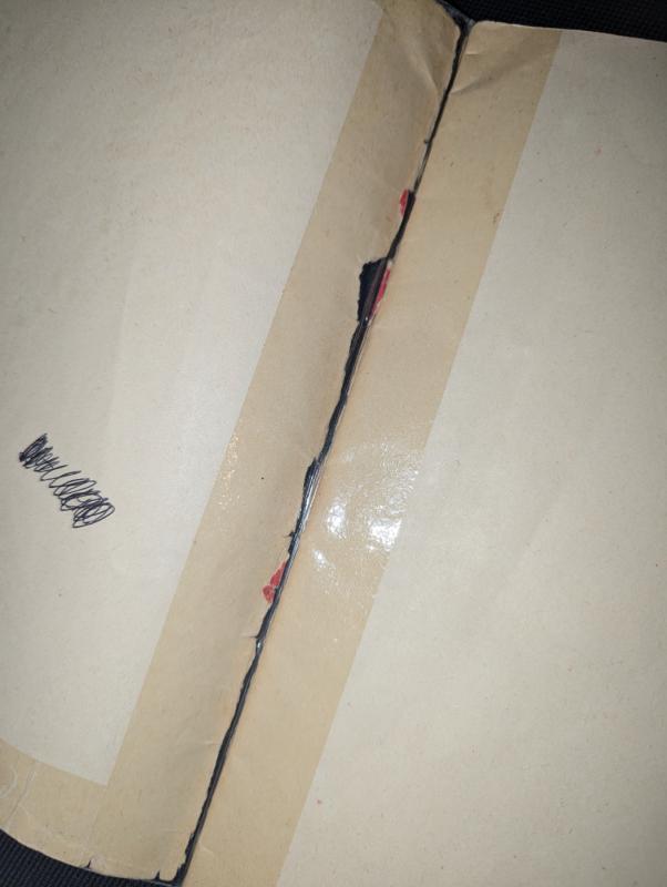 Tetulės Mosopės paslaptis - Pamela Deivis, knyga 4