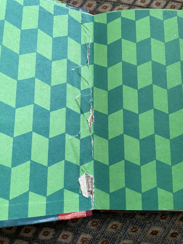 Sparnuočiai - Pranas Mašiotas, knyga 4