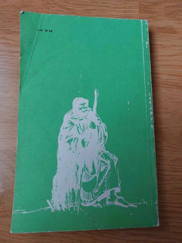 Robino Hudo nuotykiai - Hovardas Pailas, knyga 4