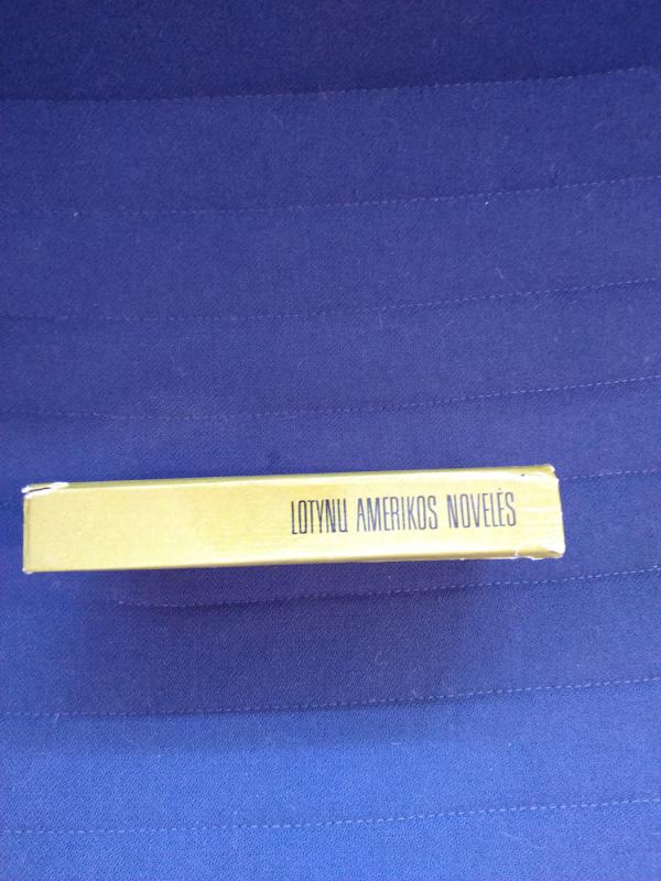 Lotynų amerikos novelės - Autorių Kolektyvas, knyga 4