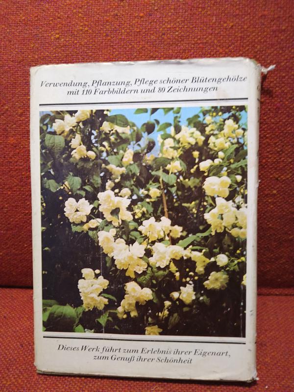 Schone Blutengeholze - Harri Gunther, knyga 2