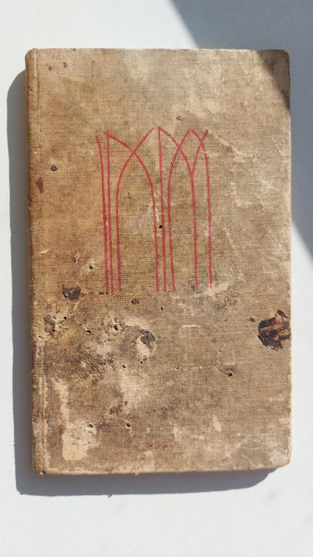 Vilniaus etiudai - Vladas Mozūriūnas, knyga 3