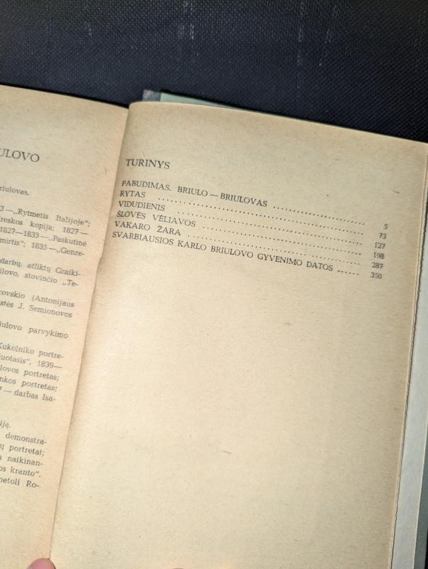 Briulovas - Vladimiras Porudominskis, knyga 5