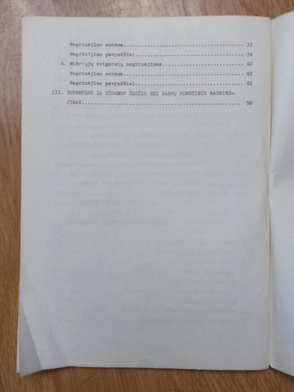 Žodžių ir garsų fonetinis nagrinėjimas - Regina Petkevičienė, knyga 4