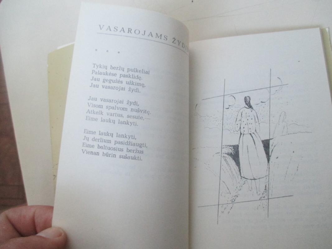 Margi vasarojai - Autorių Kolektyvas, knyga 6