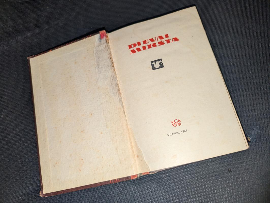 DIEVAI MIRSTA - Autorių Kolektyvas, knyga 3