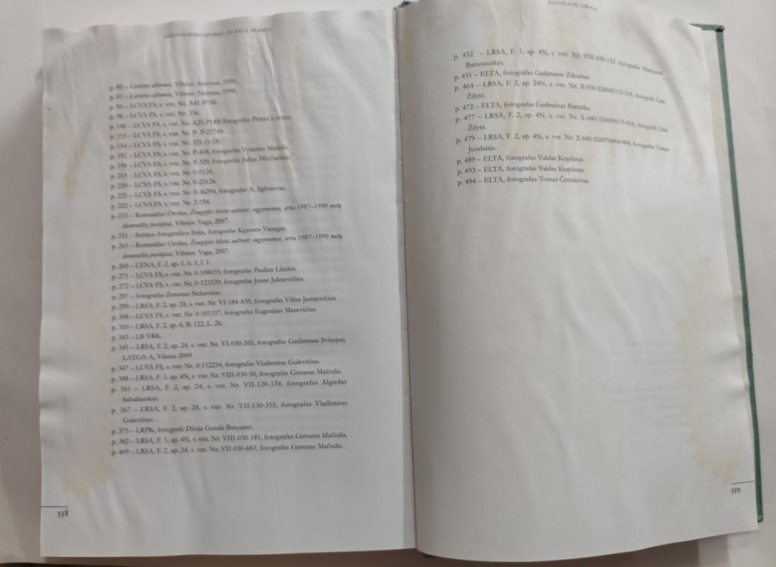 Lietuvos Seimo istorija: XX-XXI a. pradžia - Danutė Blažytė-Baužienė, knyga 4