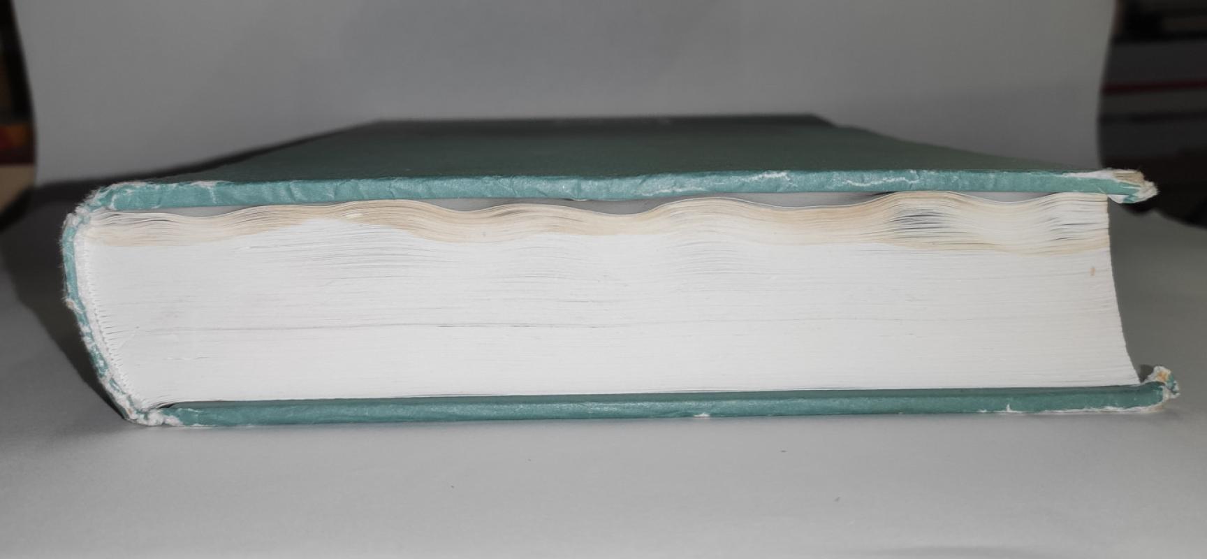 Lietuvos Seimo istorija: XX-XXI a. pradžia - Danutė Blažytė-Baužienė, knyga 3