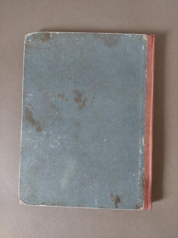 Gintarėliai - Kostas Kubilinskas, knyga 5