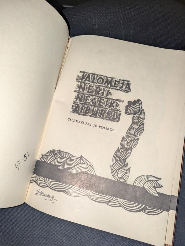 Negesk, žiburėli - Salomėja Nėris, knyga 3