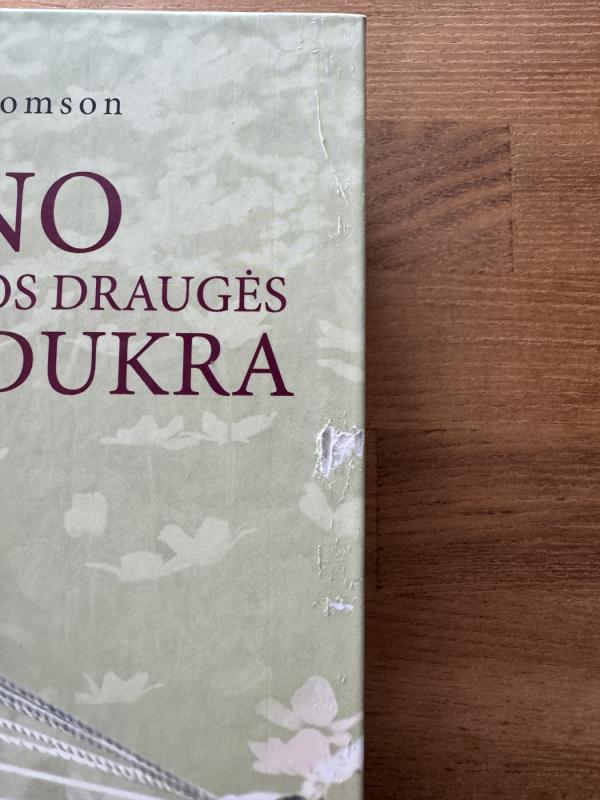 Mano geriausios draugės dukra - Dorothy Koomson, knyga 3