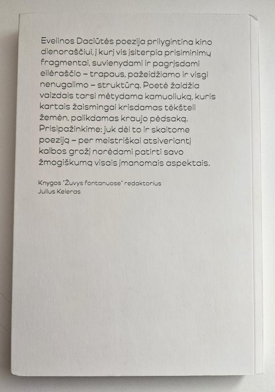 Žuvys fontanuose - Evelina Daciūtė, knyga 3