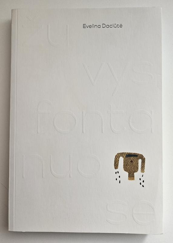 Žuvys fontanuose - Evelina Daciūtė, knyga 2