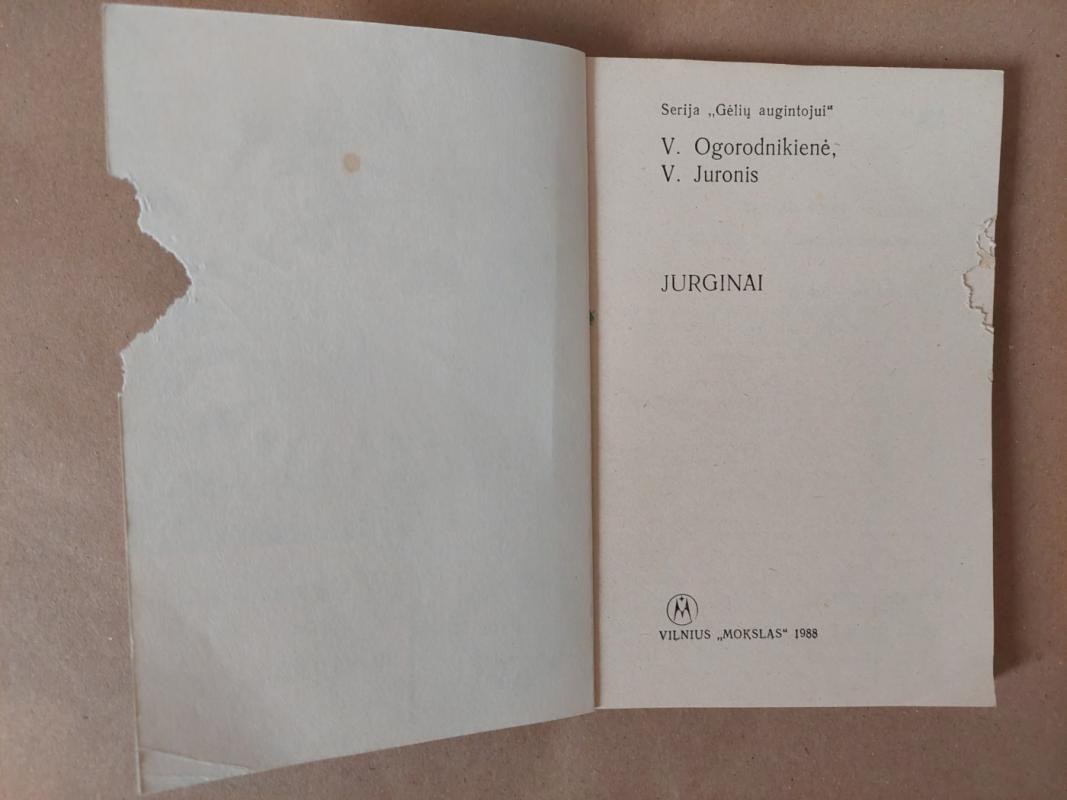 Jurginai - V. Ogorodnikienė, knyga 3