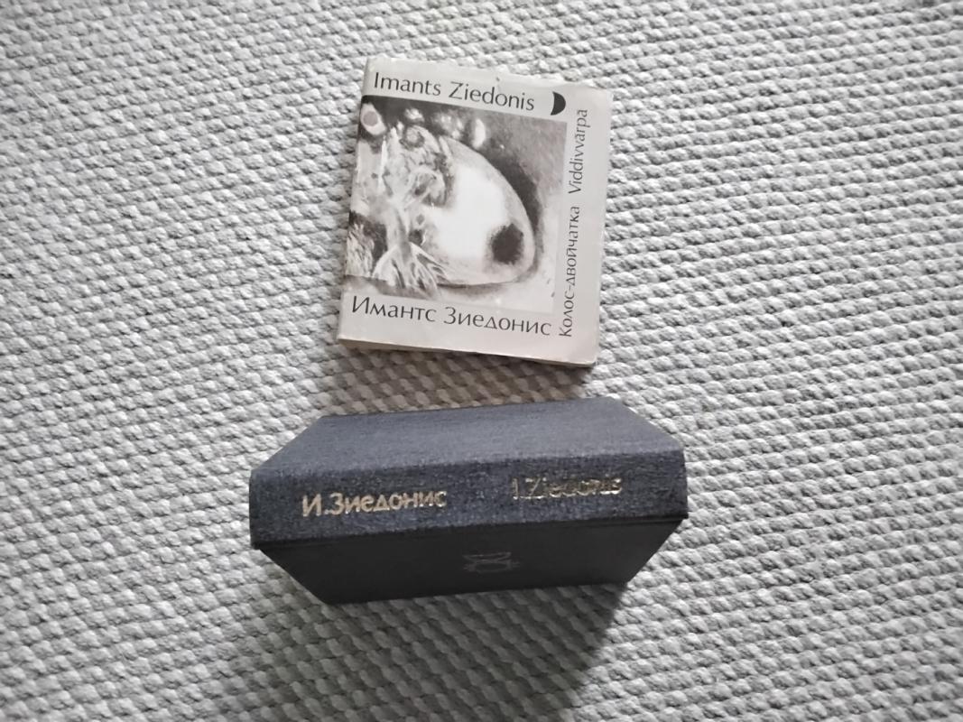 "Poēma par maizi. Viddivvārpā" - Imants Ziedonis, knyga 2