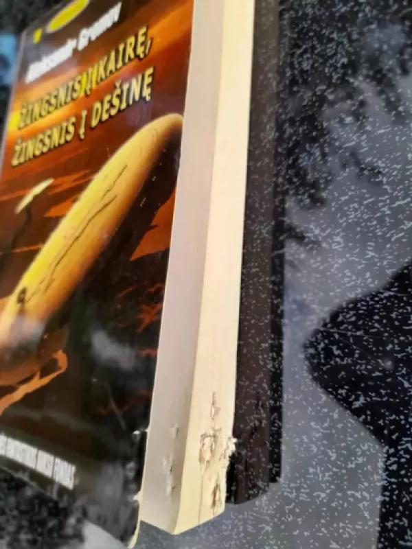 Žingsnis į kairę, žingsnis į dešinę (429) - Aleksandr Gromov, knyga 3