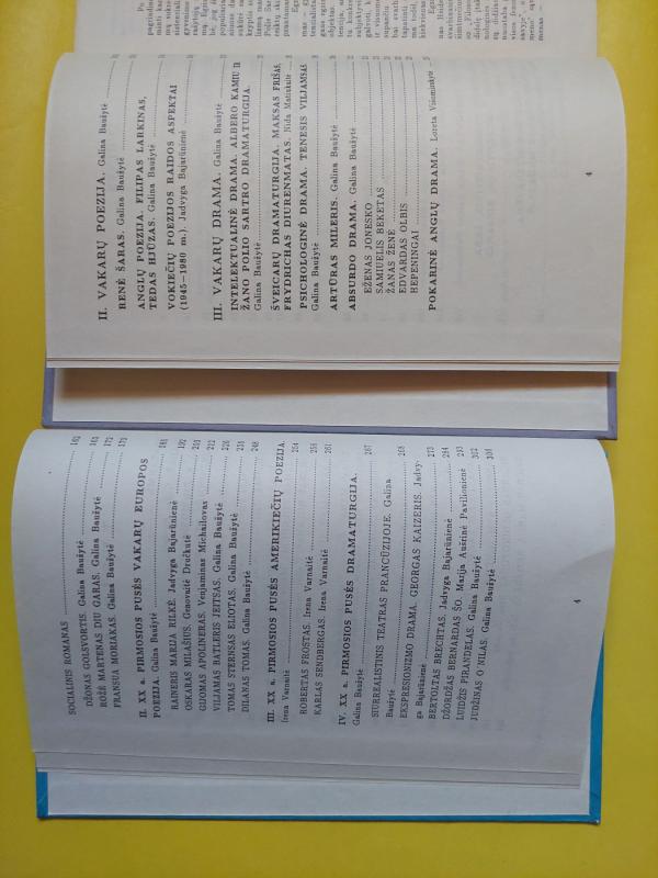 XX a. Vakarų literatūra. I ir II dalys - Autorių Kolektyvas, knyga 4