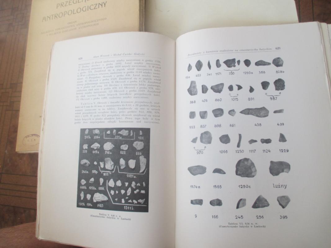 Przegląd Antropologiczny. Tom XII - Wrzosek Adam, knyga 5