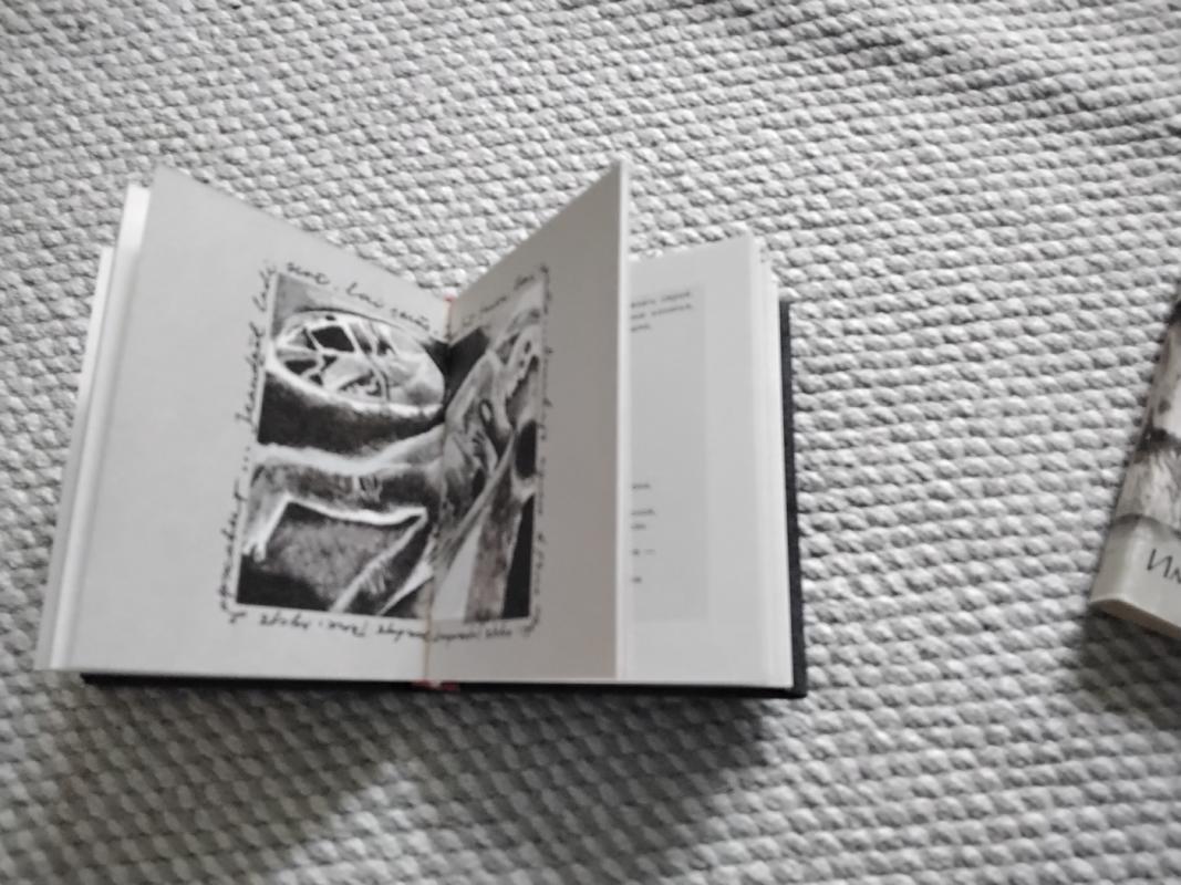 "Poēma par maizi. Viddivvārpā" - Imants Ziedonis, knyga 3