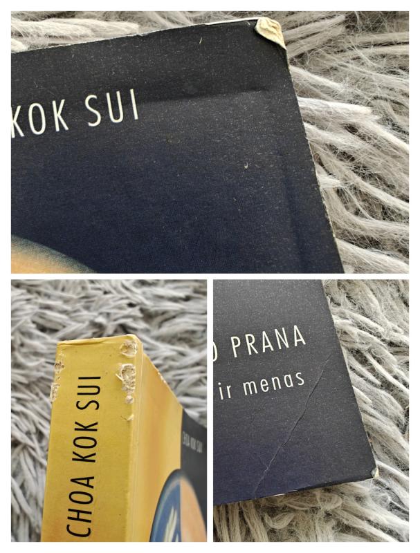 Senasis gydymo Prana mokslas ir menas -  Choa Kok Sui, knyga 4