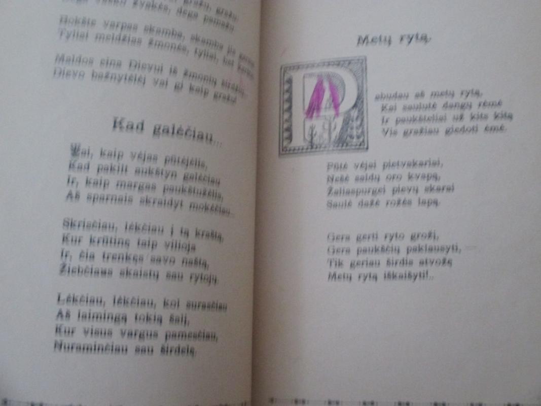 Skuduciai - Paulius Preikšas, knyga 5