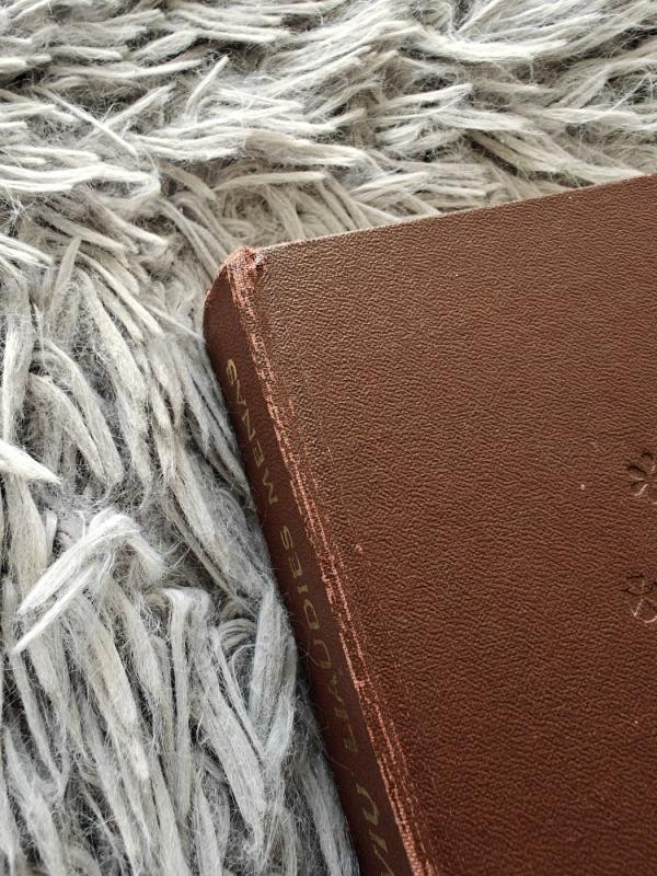 Lietuvių liaudies menas ir jo meninių formų plėtojimosi pagrindai. - Paulius Galaunė, knyga 4