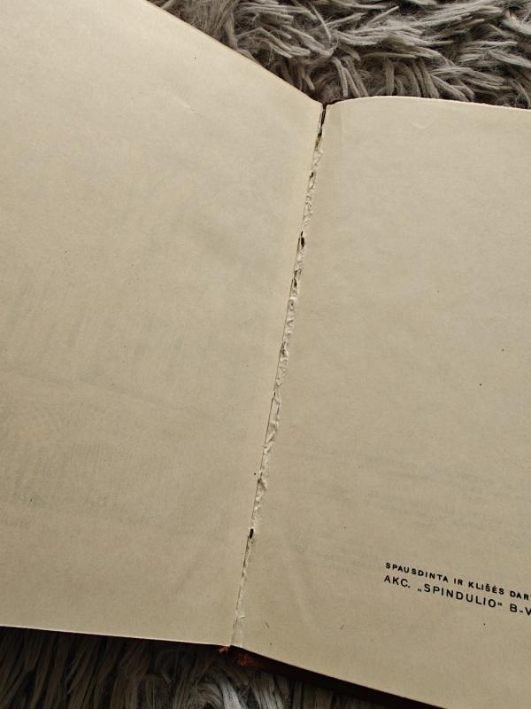 Lietuvių liaudies menas ir jo meninių formų plėtojimosi pagrindai. - Paulius Galaunė, knyga 3