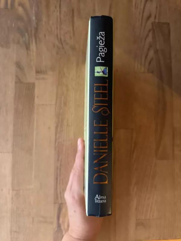Pagieža - Danielle Steel, knyga 3