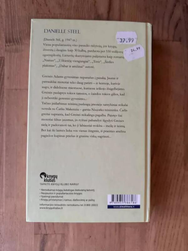 Pagieža - Danielle Steel, knyga 4