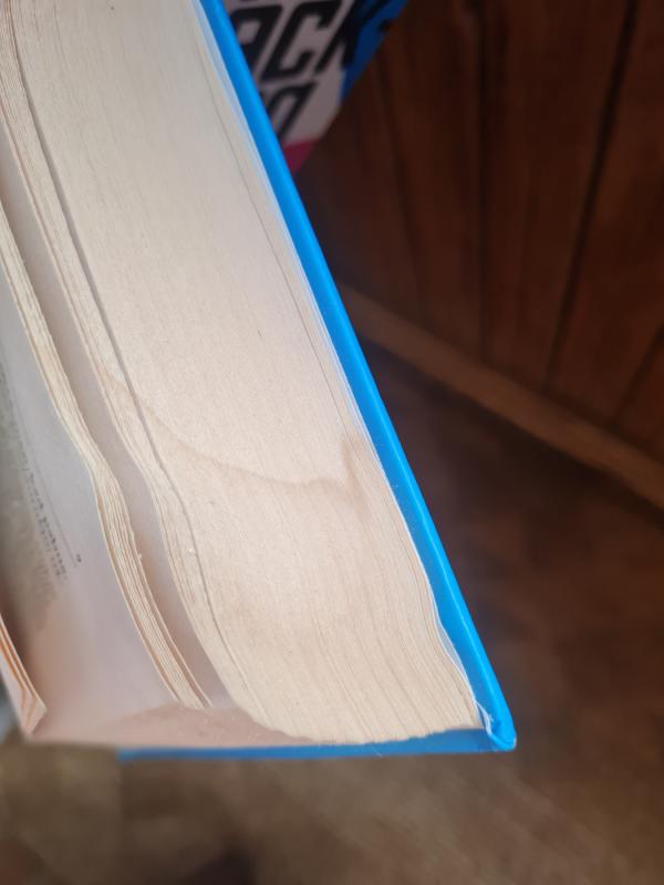 Pamokslininkas - Camilla Läckberg, knyga 3