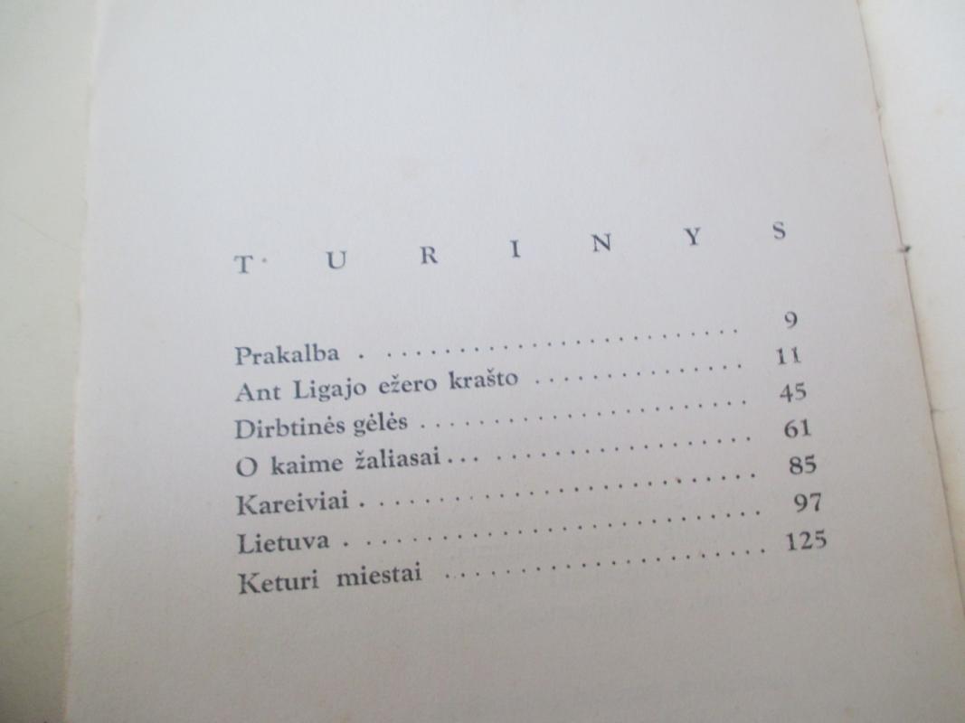 Keturi miestai - Antanas Miškinis, knyga 4